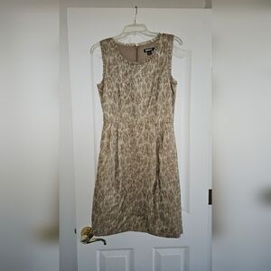 DKNY Donna Karan Women's Ruffle Trim Cotton Knit Dress size 6